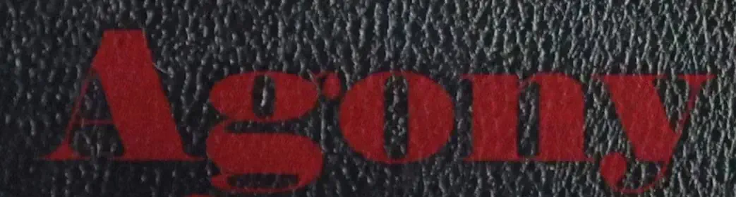 fonts