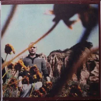 <u>PRESSING INFO</u><br><table class=inf_press><tbody><tr class=inf_info><td class=inf_title>Album:</td><td class=inf_info> Agony & Irony on Cream | Cream (ShopRadioCast Exclusive)  </td></tr>
    <td class=inf_title>Pressing:</td><td> Second Pressing /250  </td></tr>
    <td class=inf_title>Release Date:</td><td> March 2013  </td></tr>
    <td class=inf_title>Album Pressed:</td><td> 2013  </td></tr>
    <td class=inf_title>Label:</td><td> ShopRadioCast - SRCVINYL 021  </td></tr>
    <td class=inf_title>Insert:</td><td> none  </td></tr>
    <td class=inf_title>Barcode:</td><td> none  </td></tr>
    <td class=inf_title>Side A Matrix:</td><td> SRCVINYL021 A 𝓛𝓤𝓒𝓚𝓨‚ 88765-43623-1 A  </td></tr>
    <td class=inf_title>Side B Matrix:</td><td> SRC021VINYL B 𝓛𝓤𝓒𝓚𝓨‚ 88765-43623-1 B  </td></tr>
    <td class=inf_title>Side C Matrix:</td><td> SRCVINYL 021 C 𝓛𝓤𝓒𝓚𝓨‚  </td></tr>
    <td class=inf_title>Side D Matrix:</td><td> SRCVINYL 021 D 𝓛𝓤𝓒𝓚𝓨‚  </td></tr>
    <td class=inf_title>&nbsp;</td><td> <a href=https://www.discogs.com/release/4649536 target=_blank rel=noopener noreferrer>View This Release on Discogs</a>  </tr></tbody></table>
<br><u>PRICING</u><span class='less' style='padding-left: 8px; color: var(--font-colour_grey);'>(prices shown in USD)</span><br><table class='inf_press'><tbody><tr class='inf_info'>
            <td class='inf_title'>Last Sold:</td>
            <td>$174.99 (Mar 12, 2026)</td>
            </tr><tr class='inf_info'>
            <td class='inf_title'>History:</td>
            <td>
                <span class='price-low' title='€25.00 · Sold on Jul 10, 2014'>Low: <span class='price-value'>$28.47</span></span>
                <span class='price-separator'>|</span>
                <span class='price-avg'>Avg: <span class='price-value'>$59.10</span></span>
                <span class='price-separator'>|</span>
                <span class='price-high' title='Sold on Dec 14, 2024'>High: <span class='price-value'>$250.00</span></span>
            </td>
            </tr></tbody></table><br>    <br><br><u>TRACKLIST</u><br><table class='inf_tracks'><tbody><tr>
            <td class='inf_num'>A1</td>
            <td class='inf_trk'>Calling All Skeletons</td>
            <td class='inf_len'>3:19</td>
            <td><a href='#' class='lyric-link' data-album-code='ai' data-song-title='Calling All Skeletons'>Lyrics</a></td></tr><tr>
            <td class='inf_num'>A2</td>
            <td class='inf_trk'>Help Me</td>
            <td class='inf_len'>3:45</td>
            <td><a href='#' class='lyric-link' data-album-code='ai' data-song-title='Help Me'>Lyrics</a></td></tr><tr>
            <td class='inf_num'>A3</td>
            <td class='inf_trk'>In Vein</td>
            <td class='inf_len'>3:56</td>
            <td><a href='#' class='lyric-link' data-album-code='ai' data-song-title='In Vein'>Lyrics</a></td></tr><tr>
            <td class='inf_num'>A4</td>
            <td class='inf_trk'>Over And Out</td>
            <td class='inf_len'>3:14</td>
            <td><a href='#' class='lyric-link' data-album-code='ai' data-song-title='Over And Out'>Lyrics</a></td></tr><tr>
            <td class='inf_num'>B1</td>
            <td class='inf_trk'>I Found Away</td>
            <td class='inf_len'>4:01</td>
            <td><a href='#' class='lyric-link' data-album-code='ai' data-song-title='I Found Away'>Lyrics</a></td></tr><tr>
            <td class='inf_num'>B2</td>
            <td class='inf_trk'>Do You Wanna Know?</td>
            <td class='inf_len'>3:36</td>
            <td><a href='#' class='lyric-link' data-album-code='ai' data-song-title='Do You Wanna Know?'>Lyrics</a></td></tr><tr>
            <td class='inf_num'>B3</td>
            <td class='inf_trk'>Live Young, Die Fast</td>
            <td class='inf_len'>4:14</td>
            <td><a href='#' class='lyric-link' data-album-code='ai' data-song-title='Live Young, Die Fast'>Lyrics</a></td></tr><tr>
            <td class='inf_num'>B4</td>
            <td class='inf_trk'>Love Love, Kiss Kiss</td>
            <td class='inf_len'>3:25</td>
            <td><a href='#' class='lyric-link' data-album-code='ai' data-song-title='Love Love, Kiss Kiss'>Lyrics</a></td></tr><tr>
            <td class='inf_num'>C1</td>
            <td class='inf_trk'>Lost And Rendered</td>
            <td class='inf_len'>3:23</td>
            <td><a href='#' class='lyric-link' data-album-code='ai' data-song-title='Lost And Rendered'>Lyrics</a></td></tr><tr>
            <td class='inf_num'>C2</td>
            <td class='inf_trk'>Ruin It</td>
            <td class='inf_len'>3:36</td>
            <td><a href='#' class='lyric-link' data-album-code='ai' data-song-title='Ruin It'>Lyrics</a></td></tr><tr>
            <td class='inf_num'>C3</td>
            <td class='inf_trk'>Into The Night</td>
            <td class='inf_len'>3:23</td>
            <td><a href='#' class='lyric-link' data-album-code='ai' data-song-title='Into The Night'>Lyrics</a></td></tr><tr>
            <td class='inf_num'>C4</td>
            <td class='inf_trk'>In My Stomach</td>
            <td class='inf_len'>3:53</td>
            <td><a href='#' class='lyric-link' data-album-code='ai' data-song-title='In My Stomach'>Lyrics</a></td></tr><tr>
            <td class='inf_num'>C5</td>
            <td class='inf_trk'>Maybe Ill Catch Fire (Acoustic)</td>
            <td class='inf_len'>3:04</td>
            <td><a href='#' class='lyric-link' data-album-code='ai' data-song-title='Maybe Ill Catch Fire (Acoustic)'>Lyrics</a></td></tr><tr>
            <td class='inf_num'>D1</td>
            <td class='inf_trk'>Live Young, Die Fast (Acoustic)</td>
            <td class='inf_len'>3:19</td>
            <td><a href='#' class='lyric-link' data-album-code='ai' data-song-title='Live Young, Die Fast (Acoustic)'>Lyrics</a></td></tr><tr>
            <td class='inf_num'>D2</td>
            <td class='inf_trk'>Into The Night (Acoustic)</td>
            <td class='inf_len'>3:12</td>
            <td><a href='#' class='lyric-link' data-album-code='ai' data-song-title='Into The Night (Acoustic)'>Lyrics</a></td></tr><tr>
            <td class='inf_num'>D3</td>
            <td class='inf_trk'>Over And Out (Acoustic)</td>
            <td class='inf_len'>2:47</td>
            <td><a href='#' class='lyric-link' data-album-code='ai' data-song-title='Over And Out (Acoustic)'>Lyrics</a></td></tr><tr>
            <td class='inf_num'>D4</td>
            <td class='inf_trk'>Lost And Rendered (Acoustic)</td>
            <td class='inf_len'>3:13</td>
            <td><a href='#' class='lyric-link' data-album-code='ai' data-song-title='Lost And Rendered (Acoustic)'>Lyrics</a></td></tr><tr>
            <td class='inf_num'>D5</td>
            <td class='inf_trk'>Burned Is The House</td>
            <td class='inf_len'>4:26</td>
            <td><a href='#' class='lyric-link' data-album-code='ai' data-song-title='Burned Is The House'>Lyrics</a></td></tr></tbody></table><br><br>
    <u>NOTES</u><br> This was called 'khaki' as the colour description when sold. Matte finish Trifold sleeve with lyric book. Alkaline Trio is not printed on sleeve, but is a sticker on the outer poly sleeve. This release came with a hand numbered /250 obi strip. Some copies did not have this obi and were considered overrun copies.
 - Inside2