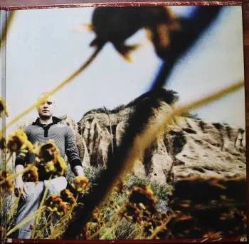 <u>PRESSING INFO</u><br><table class=inf_press><tbody><tr class=inf_info><td class=inf_title>Album:</td><td class=inf_info> Agony & Irony on UK Black  </td></tr>
    <td class=inf_title>Pressing:</td><td> First Pressing /??  </td></tr>
    <td class=inf_title>Release Date:</td><td> 2008  </td></tr>
    <td class=inf_title>Album Pressed:</td><td> 2008  </td></tr>
    <td class=inf_title>Label:</td><td> V2 records - VVR1051181  </td></tr>
    <td class=inf_title>Insert:</td><td> Printed Glossy Inner Sleeve  </td></tr>
    <td class=inf_title>Barcode:</td><td> 5 033197-511818 >  </td></tr>
    <td class=inf_title>Side A Matrix:</td><td> 81818 1A VVR 1051181  </td></tr>
    <td class=inf_title>Side B Matrix:</td><td> 81818 1B VVR 1051181 Francis  </td></tr>
    <td class=inf_title>&nbsp;</td><td> <a href=https://www.discogs.com/release/2170199 target=_blank rel=noopener noreferrer>View This Release on Discogs</a>  </tr></tbody></table>
<br><u>PRICING</u><span class='less' style='padding-left: 8px; color: var(--font-colour_grey);'>(prices shown in USD)</span><br><table class='inf_press'><tbody><tr class='inf_info'>
            <td class='inf_title'>Last Sold:</td>
            <td><span title='Sold for €99.00'>$112.75</span> (May 3, 2026)</td>
            </tr><tr class='inf_info'>
            <td class='inf_title'>History:</td>
            <td>
                <span class='price-low' title='€14.95 · Sold on Jun 17, 2020'>Low: <span class='price-value'>$17.03</span></span>
                <span class='price-separator'>|</span>
                <span class='price-avg'>Avg: <span class='price-value'>$74.91</span></span>
                <span class='price-separator'>|</span>
                <span class='price-high' title='€129.90 · Sold on Feb 22, 2024'>High: <span class='price-value'>$147.94</span></span>
            </td>
            </tr></tbody></table><br>    <br><br><u>TRACKLIST</u><br><table class='inf_tracks'><tbody><tr>
            <td class='inf_num'>A1</td>
            <td class='inf_trk'>Calling All Skeletons</td>
            <td class='inf_len'>3:19</td>
            <td><a href='#' class='lyric-link' data-album-code='ai' data-song-title='Calling All Skeletons'>Lyrics</a></td></tr><tr>
            <td class='inf_num'>A2</td>
            <td class='inf_trk'>Help Me</td>
            <td class='inf_len'>3:45</td>
            <td><a href='#' class='lyric-link' data-album-code='ai' data-song-title='Help Me'>Lyrics</a></td></tr><tr>
            <td class='inf_num'>A3</td>
            <td class='inf_trk'>In Vein</td>
            <td class='inf_len'>3:56</td>
            <td><a href='#' class='lyric-link' data-album-code='ai' data-song-title='In Vein'>Lyrics</a></td></tr><tr>
            <td class='inf_num'>A4</td>
            <td class='inf_trk'>Over And Out</td>
            <td class='inf_len'>3:14</td>
            <td><a href='#' class='lyric-link' data-album-code='ai' data-song-title='Over And Out'>Lyrics</a></td></tr><tr>
            <td class='inf_num'>A5</td>
            <td class='inf_trk'>I Found Away</td>
            <td class='inf_len'>4:01</td>
            <td><a href='#' class='lyric-link' data-album-code='ai' data-song-title='I Found Away'>Lyrics</a></td></tr><tr>
            <td class='inf_num'>A6</td>
            <td class='inf_trk'>Do You Wanna Know?</td>
            <td class='inf_len'>3:36</td>
            <td><a href='#' class='lyric-link' data-album-code='ai' data-song-title='Do You Wanna Know?'>Lyrics</a></td></tr><tr>
            <td class='inf_num'>B1</td>
            <td class='inf_trk'>Live Young, Die Fast</td>
            <td class='inf_len'>4:14</td>
            <td><a href='#' class='lyric-link' data-album-code='ai' data-song-title='Live Young, Die Fast'>Lyrics</a></td></tr><tr>
            <td class='inf_num'>B2</td>
            <td class='inf_trk'>Love Love, Kiss Kiss</td>
            <td class='inf_len'>3:25</td>
            <td><a href='#' class='lyric-link' data-album-code='ai' data-song-title='Love Love, Kiss Kiss'>Lyrics</a></td></tr><tr>
            <td class='inf_num'>B3</td>
            <td class='inf_trk'>Lost And Rendered</td>
            <td class='inf_len'>3:23</td>
            <td><a href='#' class='lyric-link' data-album-code='ai' data-song-title='Lost And Rendered'>Lyrics</a></td></tr><tr>
            <td class='inf_num'>B4</td>
            <td class='inf_trk'>Ruin It</td>
            <td class='inf_len'>3:36</td>
            <td><a href='#' class='lyric-link' data-album-code='ai' data-song-title='Ruin It'>Lyrics</a></td></tr><tr>
            <td class='inf_num'>B5</td>
            <td class='inf_trk'>Into The Night</td>
            <td class='inf_len'>3:23</td>
            <td><a href='#' class='lyric-link' data-album-code='ai' data-song-title='Into The Night'>Lyrics</a></td></tr></tbody></table><br><br>
    <u>NOTES</u><br> Single LP, glossy gatefold sleeve. Printed inner sleeve. Sleeve and center labels are marked with V2 Records/Cooperative Music logos. There are no Epic Records markings on this release.
 - Inside2