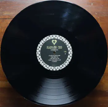 Damnesia - Black | Black