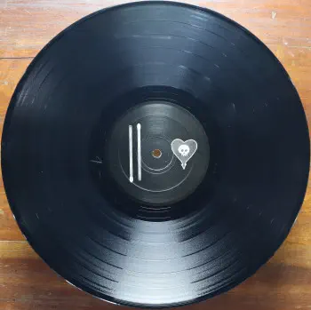 <u>PRESSING INFO</u><br><table class=inf_press><tbody><tr class=inf_info><td class=inf_title>Album:</td><td class=inf_info> Maybe I'll Catch Fire on Black with Black Labels  </td></tr>
    <td class=inf_title>Pressing:</td><td> First Pressing /1000  </td></tr>
    <td class=inf_title>Release Date:</td><td> 2000  </td></tr>
    <td class=inf_title>Album Pressed:</td><td> 2000  </td></tr>
    <td class=inf_title>Label:</td><td> Asianman Records AM 055  </td></tr>
    <td class=inf_title>Insert:</td><td> Double Sided Glossy  </td></tr>
    <td class=inf_title>Barcode:</td><td> 6 12851-0055-1 8  </td></tr>
    <td class=inf_title>Side A Matrix:</td><td> AM-055-A L-52603 GOLDEN  </td></tr>
    <td class=inf_title>Side B Matrix:</td><td> AM-055-B L-52603X GOLDEN  </td></tr>
    <td class=inf_title>&nbsp;</td><td> <a href=https://www.discogs.com/release/1444420 target=_blank rel=noopener noreferrer>View This Release on Discogs</a>  </tr></tbody></table>
<br><u>PRICING</u><span class='less' style='padding-left: 8px; color: var(--font-colour_grey);'>(prices shown in USD)</span><br><table class='inf_press'><tbody><tr class='inf_info'>
            <td class='inf_title'>Last Sold:</td>
            <td><span title='Sold for €45.00'>$51.25</span> (Apr 10, 2026)</td>
            </tr><tr class='inf_info'>
            <td class='inf_title'>History:</td>
            <td>
                <span class='price-low' title='Sold on Aug 5, 2019'>Low: <span class='price-value'>$27.00</span></span>
                <span class='price-separator'>|</span>
                <span class='price-avg'>Avg: <span class='price-value'>$58.61</span></span>
                <span class='price-separator'>|</span>
                <span class='price-high' title='Sold on Jul 6, 2022'>High: <span class='price-value'>$104.99</span></span>
            </td>
            </tr></tbody></table><br>    <br><br><u>TRACKLIST</u><br><table class='inf_tracks'><tbody><tr>
            <td class='inf_num'>A1</td>
            <td class='inf_trk'>Keep ’Em Coming</td>
            <td class='inf_len'>4:10</td>
            <td><a href='#' class='lyric-link' data-album-code='micf' data-song-title='Keep ’Em Coming'>Lyrics</a></td></tr><tr>
            <td class='inf_num'>A2</td>
            <td class='inf_trk'>Madam Me</td>
            <td class='inf_len'>2:59</td>
            <td><a href='#' class='lyric-link' data-album-code='micf' data-song-title='Madam Me'>Lyrics</a></td></tr><tr>
            <td class='inf_num'>A3</td>
            <td class='inf_trk'>You’ve Got So Far To Go</td>
            <td class='inf_len'>3:14</td>
            <td><a href='#' class='lyric-link' data-album-code='micf' data-song-title='You’ve Got So Far To Go'>Lyrics</a></td></tr><tr>
            <td class='inf_num'>A4</td>
            <td class='inf_trk'>Fuck You Aurora</td>
            <td class='inf_len'>4:49</td>
            <td><a href='#' class='lyric-link' data-album-code='micf' data-song-title='Fuck You Aurora'>Lyrics</a></td></tr><tr>
            <td class='inf_num'>A5</td>
            <td class='inf_trk'>Sleepyhead</td>
            <td class='inf_len'>3:56</td>
            <td><a href='#' class='lyric-link' data-album-code='micf' data-song-title='Sleepyhead'>Lyrics</a></td></tr><tr>
            <td class='inf_num'>B1</td>
            <td class='inf_trk'>Maybe I’ll Catch Fire</td>
            <td class='inf_len'>3:07</td>
            <td><a href='#' class='lyric-link' data-album-code='micf' data-song-title='Maybe I’ll Catch Fire'>Lyrics</a></td></tr><tr>
            <td class='inf_num'>B2</td>
            <td class='inf_trk'>Tuck Me In</td>
            <td class='inf_len'>2:39</td>
            <td><a href='#' class='lyric-link' data-album-code='micf' data-song-title='Tuck Me In'>Lyrics</a></td></tr><tr>
            <td class='inf_num'>B3</td>
            <td class='inf_trk'>She Took Him To The Lake</td>
            <td class='inf_len'>2:40</td>
            <td><a href='#' class='lyric-link' data-album-code='micf' data-song-title='She Took Him To The Lake'>Lyrics</a></td></tr><tr>
            <td class='inf_num'>B4</td>
            <td class='inf_trk'>5-3-10-4</td>
            <td class='inf_len'>2:56</td>
            <td><a href='#' class='lyric-link' data-album-code='micf' data-song-title='5-3-10-4'>Lyrics</a></td></tr><tr>
            <td class='inf_num'>B5</td>
            <td class='inf_trk'>Radio</td>
            <td class='inf_len'>4:41</td>
            <td><a href='#' class='lyric-link' data-album-code='micf' data-song-title='Radio'>Lyrics</a></td></tr></tbody></table><br><br>
    <u>NOTES</u><br> This is the only Maybe I'll Catch Fire variant that has black center labels.
 - B