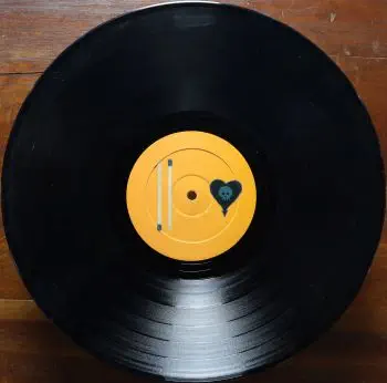 <u>PRESSING INFO</u><br><table class=inf_press><tbody><tr class=inf_info><td class=inf_title>Album:</td><td class=inf_info> Maybe I'll Catch Fire on Black with Orange Labels  </td></tr>
    <td class=inf_title>Pressing:</td><td> First Pressing /1000  </td></tr>
    <td class=inf_title>Release Date:</td><td> 2000  </td></tr>
    <td class=inf_title>Album Pressed:</td><td> 2000  </td></tr>
    <td class=inf_title>Label:</td><td> Asianman Records AM 055  </td></tr>
    <td class=inf_title>Insert:</td><td> Double Sided Glossy  </td></tr>
    <td class=inf_title>Barcode:</td><td> 6 12851-0055-1 8  </td></tr>
    <td class=inf_title>Side A Matrix:</td><td> AM-055-A L-52603 GOLDEN  </td></tr>
    <td class=inf_title>Side B Matrix:</td><td> AM-055-B L-52603X GOLDEN  </td></tr>
    <td class=inf_title>&nbsp;</td><td> <a href=https://www.discogs.com/release/15142545 target=_blank rel=noopener noreferrer>View This Release on Discogs</a>  </tr></tbody></table>
<br><u>PRICING</u><span class='less' style='padding-left: 8px; color: var(--font-colour_grey);'>(prices shown in USD)</span><br><table class='inf_press'><tbody><tr class='inf_info'>
            <td class='inf_title'>Last Sold:</td>
            <td>$59.90 (Jan 23, 2026)</td>
            </tr><tr class='inf_info'>
            <td class='inf_title'>History:</td>
            <td>
                <span class='price-low' title='Sold on Nov 15, 2021'>Low: <span class='price-value'>$35.00</span></span>
                <span class='price-separator'>|</span>
                <span class='price-avg'>Avg: <span class='price-value'>$53.71</span></span>
                <span class='price-separator'>|</span>
                <span class='price-high' title='Sold on Mar 4, 2021'>High: <span class='price-value'>$68.00</span></span>
            </td>
            </tr></tbody></table><br>    <br><br><u>TRACKLIST</u><br><table class='inf_tracks'><tbody><tr>
            <td class='inf_num'>A1</td>
            <td class='inf_trk'>Keep ’Em Coming</td>
            <td class='inf_len'>4:10</td>
            <td><a href='#' class='lyric-link' data-album-code='micf' data-song-title='Keep ’Em Coming'>Lyrics</a></td></tr><tr>
            <td class='inf_num'>A2</td>
            <td class='inf_trk'>Madam Me</td>
            <td class='inf_len'>2:59</td>
            <td><a href='#' class='lyric-link' data-album-code='micf' data-song-title='Madam Me'>Lyrics</a></td></tr><tr>
            <td class='inf_num'>A3</td>
            <td class='inf_trk'>You’ve Got So Far To Go</td>
            <td class='inf_len'>3:14</td>
            <td><a href='#' class='lyric-link' data-album-code='micf' data-song-title='You’ve Got So Far To Go'>Lyrics</a></td></tr><tr>
            <td class='inf_num'>A4</td>
            <td class='inf_trk'>Fuck You Aurora</td>
            <td class='inf_len'>4:49</td>
            <td><a href='#' class='lyric-link' data-album-code='micf' data-song-title='Fuck You Aurora'>Lyrics</a></td></tr><tr>
            <td class='inf_num'>A5</td>
            <td class='inf_trk'>Sleepyhead</td>
            <td class='inf_len'>3:56</td>
            <td><a href='#' class='lyric-link' data-album-code='micf' data-song-title='Sleepyhead'>Lyrics</a></td></tr><tr>
            <td class='inf_num'>B1</td>
            <td class='inf_trk'>Maybe I’ll Catch Fire</td>
            <td class='inf_len'>3:07</td>
            <td><a href='#' class='lyric-link' data-album-code='micf' data-song-title='Maybe I’ll Catch Fire'>Lyrics</a></td></tr><tr>
            <td class='inf_num'>B2</td>
            <td class='inf_trk'>Tuck Me In</td>
            <td class='inf_len'>2:39</td>
            <td><a href='#' class='lyric-link' data-album-code='micf' data-song-title='Tuck Me In'>Lyrics</a></td></tr><tr>
            <td class='inf_num'>B3</td>
            <td class='inf_trk'>She Took Him To The Lake</td>
            <td class='inf_len'>2:40</td>
            <td><a href='#' class='lyric-link' data-album-code='micf' data-song-title='She Took Him To The Lake'>Lyrics</a></td></tr><tr>
            <td class='inf_num'>B4</td>
            <td class='inf_trk'>5-3-10-4</td>
            <td class='inf_len'>2:56</td>
            <td><a href='#' class='lyric-link' data-album-code='micf' data-song-title='5-3-10-4'>Lyrics</a></td></tr><tr>
            <td class='inf_num'>B5</td>
            <td class='inf_trk'>Radio</td>
            <td class='inf_len'>4:41</td>
            <td><a href='#' class='lyric-link' data-album-code='micf' data-song-title='Radio'>Lyrics</a></td></tr></tbody></table><br><br>
    <u>NOTES</u><br> The jacket of all first pressings have no match sticks on the back beside the track listing.
 - B