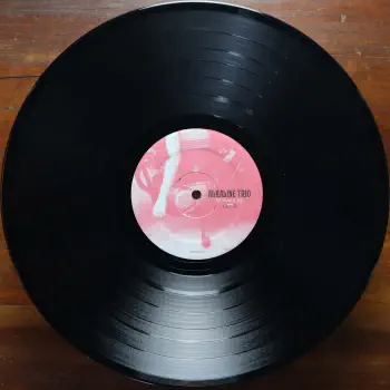 <u>PRESSING INFO</u><br><table class=inf_press><tbody><tr class=inf_info><td class=inf_title>Album:</td><td class=inf_info> My Shame Is True on US Black  </td></tr>
    <td class=inf_title>Pressing:</td><td> First Pressing /??  </td></tr>
    <td class=inf_title>Release Date:</td><td> Apr. 2nd 2013  </td></tr>
    <td class=inf_title>Album Pressed:</td><td> 2013  </td></tr>
    <td class=inf_title>Label:</td><td> Heart&Skull/Epitaph Records 87243-1  </td></tr>
    <td class=inf_title>Insert:</td><td> Printed Matte Inner Sleeve  </td></tr>
    <td class=inf_title>Barcode:</td><td> 0 45778-72431 4  </td></tr>
    <td class=inf_title>Side A Matrix:</td><td> 87243-A CB  </td></tr>
    <td class=inf_title>Side B Matrix:</td><td> 87243-B CB  </td></tr>
    <td class=inf_title>&nbsp;</td><td> <a href=https://www.discogs.com/release/15157332 target=_blank rel=noopener noreferrer>View This Release on Discogs</a>  </tr></tbody></table>
<br><u>PRICING</u><span class='less' style='padding-left: 8px; color: var(--font-colour_grey);'>(prices shown in USD)</span><br><table class='inf_press'><tbody><tr class='inf_info'>
            <td class='inf_title'>Last Sold:</td>
            <td>$10.00 (Apr 27, 2026)</td>
            </tr><tr class='inf_info'>
            <td class='inf_title'>History:</td>
            <td>
                <span class='price-low' title='Sold on Apr 27, 2026'>Low: <span class='price-value'>$10.00</span></span>
                <span class='price-separator'>|</span>
                <span class='price-avg'>Avg: <span class='price-value'>$21.09</span></span>
                <span class='price-separator'>|</span>
                <span class='price-high' title='€29.90 · Sold on Sep 21, 2024'>High: <span class='price-value'>$34.05</span></span>
            </td>
            </tr></tbody></table><br>    <br><br><u>TRACKLIST</u><br><table class='inf_tracks'><tbody><tr>
            <td class='inf_num'>A1</td>
            <td class='inf_trk'>She Lied To The FBI</td>
            <td class='inf_len'>2:49</td>
            <td><a href='#' class='lyric-link' data-album-code='msit' data-song-title='She Lied To The FBI'>Lyrics</a></td></tr><tr>
            <td class='inf_num'>A2</td>
            <td class='inf_trk'>I Wanna Be A Warhol</td>
            <td class='inf_len'>3:07</td>
            <td><a href='#' class='lyric-link' data-album-code='msit' data-song-title='I Wanna Be A Warhol'>Lyrics</a></td></tr><tr>
            <td class='inf_num'>A3</td>
            <td class='inf_trk'>I’m Only Here To Disappoint</td>
            <td class='inf_len'>2:46</td>
            <td><a href='#' class='lyric-link' data-album-code='msit' data-song-title='I’m Only Here To Disappoint'>Lyrics</a></td></tr><tr>
            <td class='inf_num'>A4</td>
            <td class='inf_trk'>Kiss You To Death</td>
            <td class='inf_len'>3:21</td>
            <td><a href='#' class='lyric-link' data-album-code='msit' data-song-title='Kiss You To Death'>Lyrics</a></td></tr><tr>
            <td class='inf_num'>A5</td>
            <td class='inf_trk'>The Temptation Of St. Anthony</td>
            <td class='inf_len'>3:35</td>
            <td><a href='#' class='lyric-link' data-album-code='msit' data-song-title='The Temptation Of St. Anthony'>Lyrics</a></td></tr><tr>
            <td class='inf_num'>A6</td>
            <td class='inf_trk'>I, Pessimist</td>
            <td class='inf_len'>2:11</td>
            <td><a href='#' class='lyric-link' data-album-code='msit' data-song-title='I, Pessimist'>Lyrics</a></td></tr><tr>
            <td class='inf_num'>B1</td>
            <td class='inf_trk'>Only Love</td>
            <td class='inf_len'>4:36</td>
            <td><a href='#' class='lyric-link' data-album-code='msit' data-song-title='Only Love'>Lyrics</a></td></tr><tr>
            <td class='inf_num'>B2</td>
            <td class='inf_trk'>The Torture Doctor</td>
            <td class='inf_len'>3:38</td>
            <td><a href='#' class='lyric-link' data-album-code='msit' data-song-title='The Torture Doctor'>Lyrics</a></td></tr><tr>
            <td class='inf_num'>B3</td>
            <td class='inf_trk'>Midnight Blue</td>
            <td class='inf_len'>2:45</td>
            <td><a href='#' class='lyric-link' data-album-code='msit' data-song-title='Midnight Blue'>Lyrics</a></td></tr><tr>
            <td class='inf_num'>B4</td>
            <td class='inf_trk'>One Last Dance</td>
            <td class='inf_len'>3:29</td>
            <td><a href='#' class='lyric-link' data-album-code='msit' data-song-title='One Last Dance'>Lyrics</a></td></tr><tr>
            <td class='inf_num'>B5</td>
            <td class='inf_trk'>Young Lovers</td>
            <td class='inf_len'>3:31</td>
            <td><a href='#' class='lyric-link' data-album-code='msit' data-song-title='Young Lovers'>Lyrics</a></td></tr><tr>
            <td class='inf_num'>B6</td>
            <td class='inf_trk'>Until Death Do Us Part</td>
            <td class='inf_len'>4:11</td>
            <td><a href='#' class='lyric-link' data-album-code='msit' data-song-title='Until Death Do Us Part'>Lyrics</a></td></tr></tbody></table><br><br>
    <u>NOTES</u><br> none
 - B