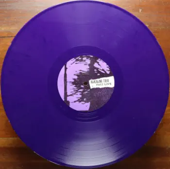 <u>PRESSING INFO</u><br><table class=inf_press><tbody><tr class=inf_info><td class=inf_title>Album:</td><td class=inf_info> Maybe I'll Catch Fire Past Live on Purple  </td></tr>
    <td class=inf_title>Pressing:</td><td> First Pressing /500  </td></tr>
    <td class=inf_title>Release Date:</td><td> June 2018  </td></tr>
    <td class=inf_title>Album Pressed:</td><td> 2018  </td></tr>
    <td class=inf_title>Label:</td><td> Heart&Skull Records  </td></tr>
    <td class=inf_title>Insert:</td><td> Single Sided Glossy  </td></tr>
    <td class=inf_title>Barcode:</td><td> none  </td></tr>
    <td class=inf_title>Side A Matrix:</td><td> 17-0407NL-003 A K SST MPO (Etched) MPO 18 23162 (Stamped)  </td></tr>
    <td class=inf_title>Side B Matrix:</td><td> 17-0407NL-003 B K SST MPO (Etched) MPO 18 23159 (Stamped)  </td></tr>
    <td class=inf_title>&nbsp;</td><td> <a href=https://www.discogs.com/release/12220660 target=_blank rel=noopener noreferrer>View This Release on Discogs</a>  </tr></tbody></table>
<br><u>PRICING</u><span class='less' style='padding-left: 8px; color: var(--font-colour_grey);'>(prices shown in USD)</span><br><table class='inf_press'><tbody><tr class='inf_info'>
            <td class='inf_title'>Last Sold:</td>
            <td>$600.00 (Jun 3, 2026)</td>
            </tr><tr class='inf_info'>
            <td class='inf_title'>History:</td>
            <td>
                <span class='price-low' title='Sold on Dec 25, 2021'>Low: <span class='price-value'>$199.99</span></span>
                <span class='price-separator'>|</span>
                <span class='price-avg'>Avg: <span class='price-value'>$378.24</span></span>
                <span class='price-separator'>|</span>
                <span class='price-high' title='Sold on May 28, 2023'>High: <span class='price-value'>$700.00</span></span>
            </td>
            </tr></tbody></table><br>    <br><br><u>TRACKLIST</u><br><table class='inf_tracks'><tbody><tr>
            <td class='inf_num'>A1</td>
            <td class='inf_trk'>Keep ’Em Coming</td>
            <td class='inf_len'>?:??</td>
            <td><a href='#' class='lyric-link' data-album-code='pl' data-song-title='Keep ’Em Coming'>Lyrics</a></td></tr><tr>
            <td class='inf_num'>A2</td>
            <td class='inf_trk'>Madam Me</td>
            <td class='inf_len'>?:??</td>
            <td><a href='#' class='lyric-link' data-album-code='pl' data-song-title='Madam Me'>Lyrics</a></td></tr><tr>
            <td class='inf_num'>A3</td>
            <td class='inf_trk'>You’ve Got So Far To Go</td>
            <td class='inf_len'>?:??</td>
            <td><a href='#' class='lyric-link' data-album-code='pl' data-song-title='You’ve Got So Far To Go'>Lyrics</a></td></tr><tr>
            <td class='inf_num'>A4</td>
            <td class='inf_trk'>Fuck You Aurora</td>
            <td class='inf_len'>?:??</td>
            <td><a href='#' class='lyric-link' data-album-code='pl' data-song-title='Fuck You Aurora'>Lyrics</a></td></tr><tr>
            <td class='inf_num'>A5</td>
            <td class='inf_trk'>Sleepyhead</td>
            <td class='inf_len'>?:??</td>
            <td><a href='#' class='lyric-link' data-album-code='pl' data-song-title='Sleepyhead'>Lyrics</a></td></tr><tr>
            <td class='inf_num'>B1</td>
            <td class='inf_trk'>Maybe I’ll Catch Fire</td>
            <td class='inf_len'>?:??</td>
            <td><a href='#' class='lyric-link' data-album-code='pl' data-song-title='Maybe I’ll Catch Fire'>Lyrics</a></td></tr><tr>
            <td class='inf_num'>B2</td>
            <td class='inf_trk'>Tuck Me In</td>
            <td class='inf_len'>?:??</td>
            <td><a href='#' class='lyric-link' data-album-code='pl' data-song-title='Tuck Me In'>Lyrics</a></td></tr><tr>
            <td class='inf_num'>B3</td>
            <td class='inf_trk'>She Took Him To The Lake</td>
            <td class='inf_len'>?:??</td>
            <td><a href='#' class='lyric-link' data-album-code='pl' data-song-title='She Took Him To The Lake'>Lyrics</a></td></tr><tr>
            <td class='inf_num'>B4</td>
            <td class='inf_trk'>5-3-10-4</td>
            <td class='inf_len'>?:??</td>
            <td><a href='#' class='lyric-link' data-album-code='pl' data-song-title='5-3-10-4'>Lyrics</a></td></tr><tr>
            <td class='inf_num'>B5</td>
            <td class='inf_trk'>Radio</td>
            <td class='inf_len'>?:??</td>
            <td><a href='#' class='lyric-link' data-album-code='pl' data-song-title='Radio'>Lyrics</a></td></tr></tbody></table><br><br>
    <u>NOTES</u><br> Recorded live at the Metro, Chicago on Oct 17, 2014.
 - B