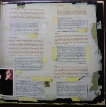 <u>PRESSING INFO</u><br><table class=inf_press><tbody><tr class=inf_info><td class=inf_title>Album:</td><td class=inf_info> Remains on Black | Black  </td></tr>
    <td class=inf_title>Pressing:</td><td> First Pressing /500  </td></tr>
    <td class=inf_title>Release Date:</td><td> Jan. 31st 2007  </td></tr>
    <td class=inf_title>Album Pressed:</td><td> 2007  </td></tr>
    <td class=inf_title>Label:</td><td> Vagrant Records/Cobraside CSDLP1111  </td></tr>
    <td class=inf_title>Insert:</td><td> Double Sided Matte  </td></tr>
    <td class=inf_title>Barcode:</td><td> 8 29707-95111 4  </td></tr>
    <td class=inf_title>Side A Matrix:</td><td> CSDLP-1111-A  </td></tr>
    <td class=inf_title>Side B Matrix:</td><td> CSDLP-1111-B  </td></tr>
    <td class=inf_title>Side C Matrix:</td><td> CSDLP-1111-C  </td></tr>
    <td class=inf_title>Side D Matrix:</td><td> CSDLP-1111-D  </td></tr>
    <td class=inf_title>&nbsp;</td><td> <a href=https://www.discogs.com/release/1584635 target=_blank rel=noopener noreferrer>View This Release on Discogs</a>  </tr></tbody></table>
<br><u>PRICING</u><span class='less' style='padding-left: 8px; color: var(--font-colour_grey);'>(prices shown in USD)</span><br><table class='inf_press'><tbody><tr class='inf_info'>
            <td class='inf_title'>Last Sold:</td>
            <td><span title='Sold for €88.00'>$100.22</span> (Apr 16, 2026)</td>
            </tr><tr class='inf_info'>
            <td class='inf_title'>History:</td>
            <td>
                <span class='price-low' title='A$60.00 · Sold on Aug 5, 2019'>Low: <span class='price-value'>$42.00</span></span>
                <span class='price-separator'>|</span>
                <span class='price-avg'>Avg: <span class='price-value'>$99.54</span></span>
                <span class='price-separator'>|</span>
                <span class='price-high' title='€150.00 · Sold on Jan 15, 2019'>High: <span class='price-value'>$170.84</span></span>
            </td>
            </tr></tbody></table><br>    <br><br><u>TRACKLIST</u><br><table class='inf_tracks'><tbody><tr>
            <td class='inf_num'>A1</td>
            <td class='inf_trk'>Hell Yes</td>
            <td class='inf_len'>3:49</td>
            <td><a href='#' class='lyric-link' data-album-code='remains' data-song-title='Hell Yes'>Lyrics</a></td></tr><tr>
            <td class='inf_num'>A2</td>
            <td class='inf_trk'>My Standard Break From Life</td>
            <td class='inf_len'>2:34</td>
            <td><a href='#' class='lyric-link' data-album-code='remains' data-song-title='My Standard Break From Life'>Lyrics</a></td></tr><tr>
            <td class='inf_num'>A3</td>
            <td class='inf_trk'>Dead End Road</td>
            <td class='inf_len'>3:08</td>
            <td><a href='#' class='lyric-link' data-album-code='remains' data-song-title='Dead End Road'>Lyrics</a></td></tr><tr>
            <td class='inf_num'>A4</td>
            <td class='inf_trk'>Metro</td>
            <td class='inf_len'>3:41</td>
            <td><a href='#' class='lyric-link' data-album-code='remains' data-song-title='Metro'>Lyrics</a></td></tr><tr>
            <td class='inf_num'>A5</td>
            <td class='inf_trk'>Jaked On Green Beers</td>
            <td class='inf_len'>3:27</td>
            <td><a href='#' class='lyric-link' data-album-code='remains' data-song-title='Jaked On Green Beers'>Lyrics</a></td></tr><tr>
            <td class='inf_num'>B1</td>
            <td class='inf_trk'>Queen Of Pain</td>
            <td class='inf_len'>3:56</td>
            <td><a href='#' class='lyric-link' data-album-code='remains' data-song-title='Queen Of Pain'>Lyrics</a></td></tr><tr>
            <td class='inf_num'>B2</td>
            <td class='inf_trk'>While You’re Waiting</td>
            <td class='inf_len'>4:06</td>
            <td><a href='#' class='lyric-link' data-album-code='remains' data-song-title='While You’re Waiting'>Lyrics</a></td></tr><tr>
            <td class='inf_num'>B3</td>
            <td class='inf_trk'>Rooftops</td>
            <td class='inf_len'>2:15</td>
            <td><a href='#' class='lyric-link' data-album-code='remains' data-song-title='Rooftops'>Lyrics</a></td></tr><tr>
            <td class='inf_num'>B4</td>
            <td class='inf_trk'>Old School Reasons</td>
            <td class='inf_len'>2:51</td>
            <td><a href='#' class='lyric-link' data-album-code='remains' data-song-title='Old School Reasons'>Lyrics</a></td></tr><tr>
            <td class='inf_num'>B5</td>
            <td class='inf_trk'>Warbrain</td>
            <td class='inf_len'>2:28</td>
            <td><a href='#' class='lyric-link' data-album-code='remains' data-song-title='Warbrain'>Lyrics</a></td></tr><tr>
            <td class='inf_num'>B6</td>
            <td class='inf_trk'>Buried</td>
            <td class='inf_len'>3:16</td>
            <td><a href='#' class='lyric-link' data-album-code='remains' data-song-title='Buried'>Lyrics</a></td></tr><tr>
            <td class='inf_num'>C1</td>
            <td class='inf_trk'>Fine Without You</td>
            <td class='inf_len'>3:15</td>
            <td><a href='#' class='lyric-link' data-album-code='remains' data-song-title='Fine Without You'>Lyrics</a></td></tr><tr>
            <td class='inf_num'>C2</td>
            <td class='inf_trk'>Hating Every Minute</td>
            <td class='inf_len'>3:03</td>
            <td><a href='#' class='lyric-link' data-album-code='remains' data-song-title='Hating Every Minute'>Lyrics</a></td></tr><tr>
            <td class='inf_num'>C3</td>
            <td class='inf_trk'>Dead And Broken</td>
            <td class='inf_len'>2:09</td>
            <td><a href='#' class='lyric-link' data-album-code='remains' data-song-title='Dead And Broken'>Lyrics</a></td></tr><tr>
            <td class='inf_num'>C4</td>
            <td class='inf_trk'>Sadie</td>
            <td class='inf_len'>4:38</td>
            <td><a href='#' class='lyric-link' data-album-code='remains' data-song-title='Sadie'>Lyrics</a></td></tr><tr>
            <td class='inf_num'>C5</td>
            <td class='inf_trk'>Don’t Say You Won’t</td>
            <td class='inf_len'>2:20</td>
            <td><a href='#' class='lyric-link' data-album-code='remains' data-song-title='Don’t Say You Won’t'>Lyrics</a></td></tr><tr>
            <td class='inf_num'>D1</td>
            <td class='inf_trk'>If You Had A Bad Time</td>
            <td class='inf_len'>3:38</td>
            <td><a href='#' class='lyric-link' data-album-code='remains' data-song-title='If You Had A Bad Time'>Lyrics</a></td></tr><tr>
            <td class='inf_num'>D2</td>
            <td class='inf_trk'>Wait For The Blackout</td>
            <td class='inf_len'>3:28</td>
            <td><a href='#' class='lyric-link' data-album-code='remains' data-song-title='Wait For The Blackout'>Lyrics</a></td></tr><tr>
            <td class='inf_num'>D3</td>
            <td class='inf_trk'>We Can Never Break Up</td>
            <td class='inf_len'>3:10</td>
            <td><a href='#' class='lyric-link' data-album-code='remains' data-song-title='We Can Never Break Up'>Lyrics</a></td></tr><tr>
            <td class='inf_num'>D4</td>
            <td class='inf_trk'>Dethbed (Live)</td>
            <td class='inf_len'>3:12</td>
            <td><a href='#' class='lyric-link' data-album-code='remains' data-song-title='Dethbed (Live)'>Lyrics</a></td></tr><tr>
            <td class='inf_num'>D5</td>
            <td class='inf_trk'>My Standard Break From Life (Live Acoustic)</td>
            <td class='inf_len'>3:42</td>
            <td><a href='#' class='lyric-link' data-album-code='remains' data-song-title='My Standard Break From Life (Live Acoustic)'>Lyrics</a></td></tr><tr>
            <td class='inf_num'>D6</td>
            <td class='inf_trk'>I’m Dying Tomorrow (Live)</td>
            <td class='inf_len'>2:31</td>
            <td><a href='#' class='lyric-link' data-album-code='remains' data-song-title='I’m Dying Tomorrow (Live)'>Lyrics</a></td></tr></tbody></table><br><br>
    <u>NOTES</u><br> Gatefold sleeve
 - Inside2