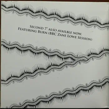 <u>PRESSING INFO</u><br><table class=inf_press><tbody><tr class=inf_info><td class=inf_title>Album:</td><td class=inf_info> Burn Single #1 on Black  </td></tr>
    <td class=inf_title>Pressing:</td><td> First Pressing /??  </td></tr>
    <td class=inf_title>Release Date:</td><td> Feb. 20th 2006  </td></tr>
    <td class=inf_title>Album Pressed:</td><td> 2006  </td></tr>
    <td class=inf_title>Label:</td><td> Vagrant Records/Hassle Records VRUK029S  </td></tr>
    <td class=inf_title>Insert:</td><td> none  </td></tr>
    <td class=inf_title>Barcode:</td><td> 5 060100-661032  </td></tr>
    <td class=inf_title>Side A Matrix:</td><td> 61587 1A VRUK 029S  </td></tr>
    <td class=inf_title>Side B Matrix:</td><td> 61587 1B VRUK 029S  </td></tr>
    <td class=inf_title>&nbsp;</td><td> <a href=https://www.discogs.com/release/1102764 target=_blank rel=noopener noreferrer>View This Release on Discogs</a>  </tr></tbody></table>
<br><u>PRICING</u><span class='less' style='padding-left: 8px; color: var(--font-colour_grey);'>(prices shown in USD)</span><br><table class='inf_press'><tbody><tr class='inf_info'>
            <td class='inf_title'>Last Sold:</td>
            <td>$15.00 (Apr 1, 2026)</td>
            </tr><tr class='inf_info'>
            <td class='inf_title'>History:</td>
            <td>
                <span class='price-low' title='£3.50 · Sold on Mar 24, 2024'>Low: <span class='price-value'>$4.66</span></span>
                <span class='price-separator'>|</span>
                <span class='price-avg'>Avg: <span class='price-value'>$13.74</span></span>
                <span class='price-separator'>|</span>
                <span class='price-high' title='Sold on Apr 5, 2024'>High: <span class='price-value'>$39.99</span></span>
            </td>
            </tr></tbody></table><br>    <br><br><u>TRACKLIST</u><br><table class='inf_tracks'><tbody><tr>
            <td class='inf_num'>A1</td>
            <td class='inf_trk'>Burn</td>
            <td class='inf_len'>4:07</td>
            <td><a href='#' class='lyric-link' data-album-code='singles' data-song-title='Burn'>Lyrics</a></td></tr><tr>
            <td class='inf_num'>B1</td>
            <td class='inf_trk'>Burn (65daysofstatic Remix)</td>
            <td class='inf_len'>4:36</td>
            <td><a href='#' class='lyric-link' data-album-code='singles' data-song-title='Burn (65daysofstatic Remix)'>Lyrics</a></td></tr></tbody></table><br><br>
    <u>NOTES</u><br> Came in a gatefold 7'' sleeve with Made in England sticker on back. B side track is Burn (65 Days of Static Remix). A Side There is a stamped 5 scratched out between 8 and 7 and a 7 hand etched. There is also a stamped X at the end of the runout scratched out)
 - Inside