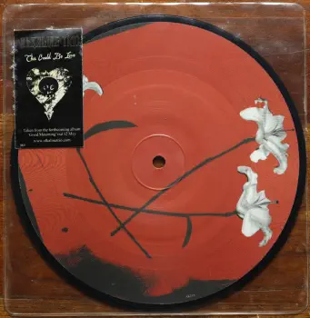 <u>PRESSING INFO</u><br><table class=inf_press><tbody><tr class=inf_info><td class=inf_title>Album:</td><td class=inf_info> This Could Be Love Picture Disc (UK Release) on This Could Be Love (Picture Disc)  </td></tr>
    <td class=inf_title>Pressing:</td><td> First Pressing /500  </td></tr>
    <td class=inf_title>Release Date:</td><td> Oct. 6th 2003  </td></tr>
    <td class=inf_title>Album Pressed:</td><td> 2003  </td></tr>
    <td class=inf_title>Label:</td><td> Vagrant/Polydor Limited AK31  </td></tr>
    <td class=inf_title>Insert:</td><td> none  </td></tr>
    <td class=inf_title>Barcode:</td><td> none  </td></tr>
    <td class=inf_title>Side A Matrix:</td><td> AK-31-1  </td></tr>
    <td class=inf_title>&nbsp;</td><td> <a href=https://www.discogs.com/release/2185477 target=_blank rel=noopener noreferrer>View This Release on Discogs</a>  </tr></tbody></table>
<br><u>PRICING</u><span class='less' style='padding-left: 8px; color: var(--font-colour_grey);'>(prices shown in USD)</span><br><table class='inf_press'><tbody><tr class='inf_info'>
            <td class='inf_title'>Last Sold:</td>
            <td>$19.99 (Jun 29, 2026)</td>
            </tr><tr class='inf_info'>
            <td class='inf_title'>History:</td>
            <td>
                <span class='price-low' title='£5.50 · Sold on Mar 25, 2024'>Low: <span class='price-value'>$7.32</span></span>
                <span class='price-separator'>|</span>
                <span class='price-avg'>Avg: <span class='price-value'>$14.05</span></span>
                <span class='price-separator'>|</span>
                <span class='price-high' title='Sold on Mar 30, 2022'>High: <span class='price-value'>$20.00</span></span>
            </td>
            </tr></tbody></table><br>    <br><br><u>TRACKLIST</u><br><table class='inf_tracks'><tbody><tr>
            <td class='inf_num'>A1</td>
            <td class='inf_trk'>This Could Be Love</td>
            <td class='inf_len'>3:47</td>
            <td><a href='#' class='lyric-link' data-album-code='singles' data-song-title='This Could Be Love'>Lyrics</a></td></tr><tr>
            <td class='inf_num'>B1</td>
            <td class='inf_trk'>none</td>
            <td class='inf_len'></td>
            <td></td></tr></tbody></table><br><br>
    <u>NOTES</u><br> Came in clear poly sleeve with hype sticker. Music is only on Side A, Side B is picture only. Marked For promotional use only. Not for resale.
 - Cover